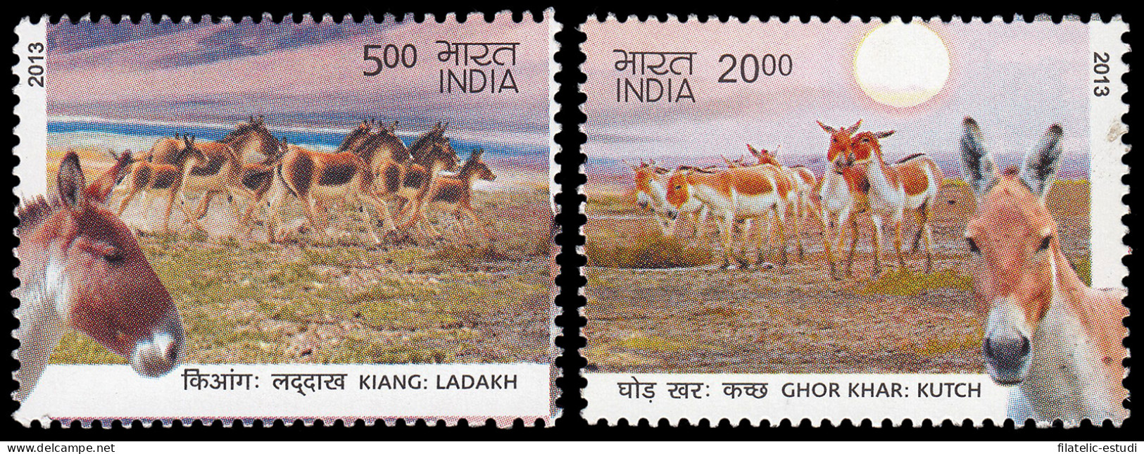 India 2470/71 2013 Fauna Burros Salvajes MNH - Other & Unclassified