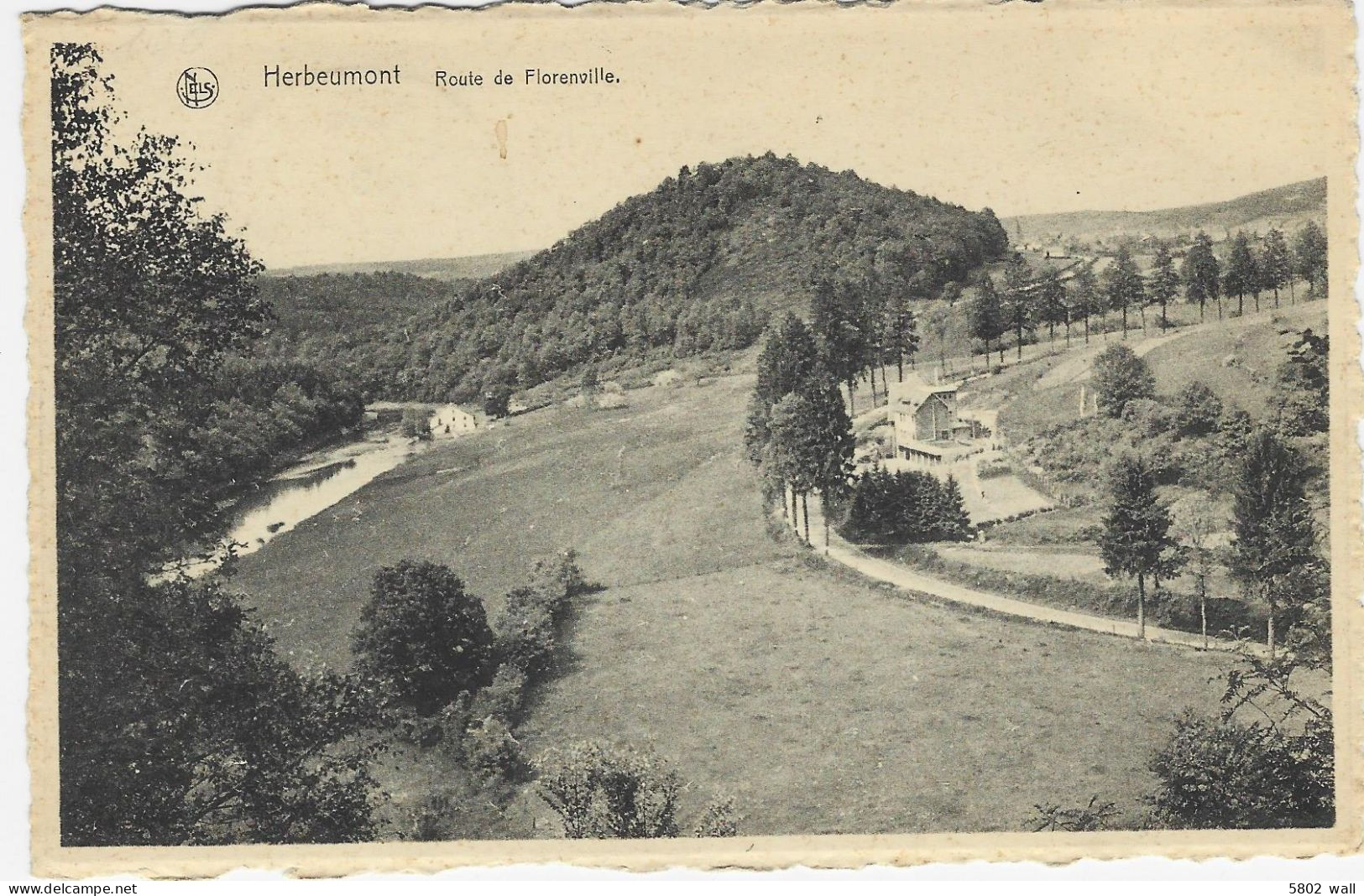 HERBEUMONT : Route De Florenville - Herbeumont