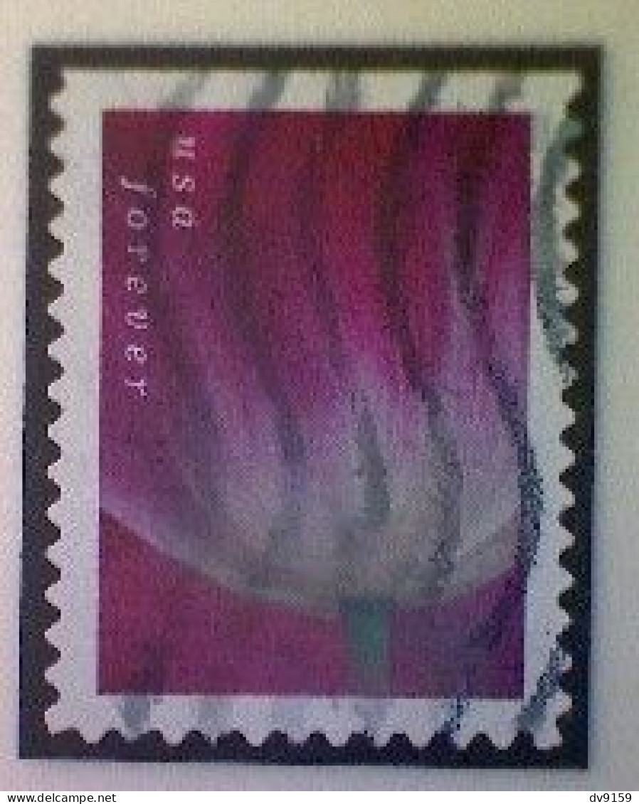 United States, Scott #5781, Used(o), 2023, Tulip Blossom, (63¢), Multicolored - Gebruikt