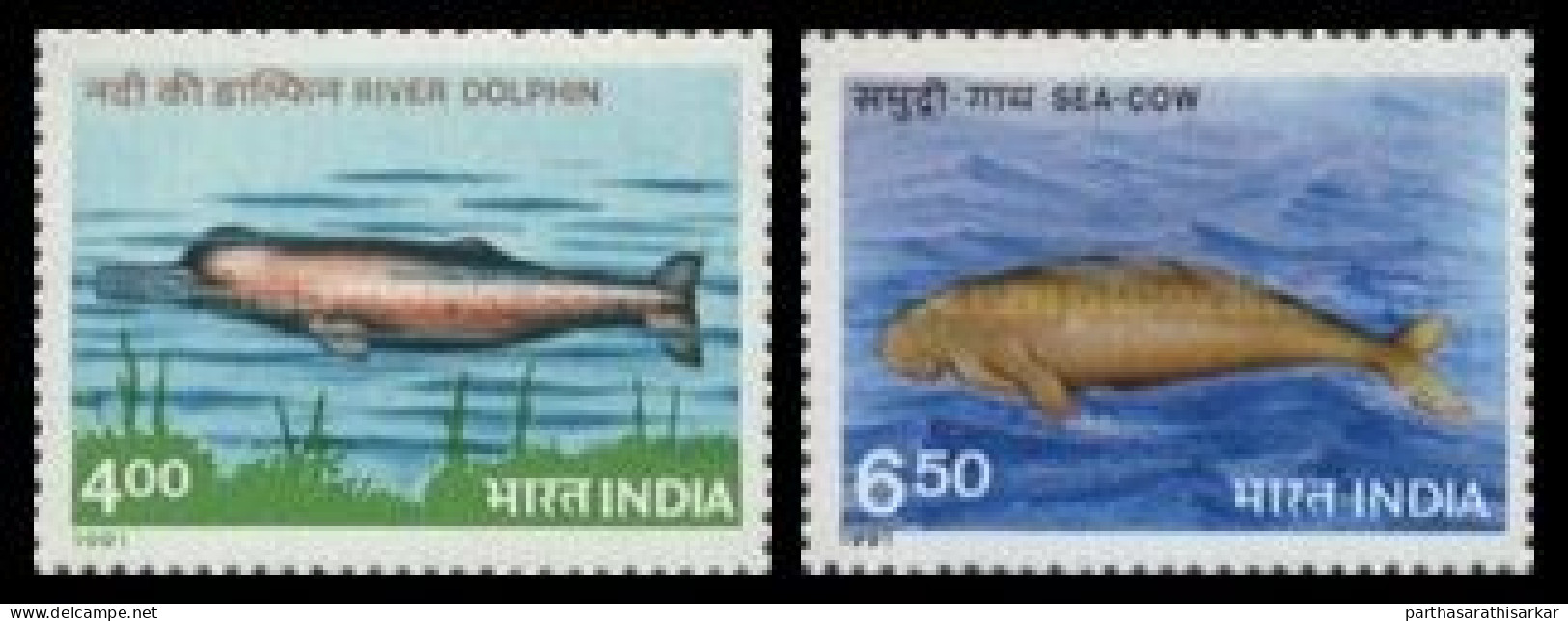 INDIA 1991 ENDANGERED MARINE MAMMALS COMPLETE SET MNH - Ungebraucht