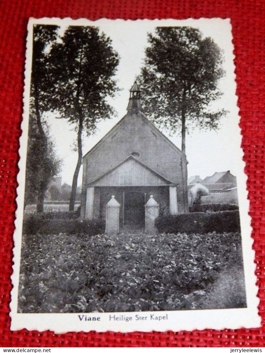 VIANE  -   Heilige Ster Kapel - Geraardsbergen