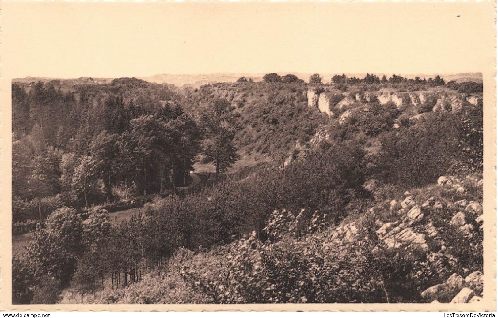 BELGIQUE - Marche En Famenne - Panorama - Vue Générale De La Ville - Carte Postale Ancienne - Marche-en-Famenne