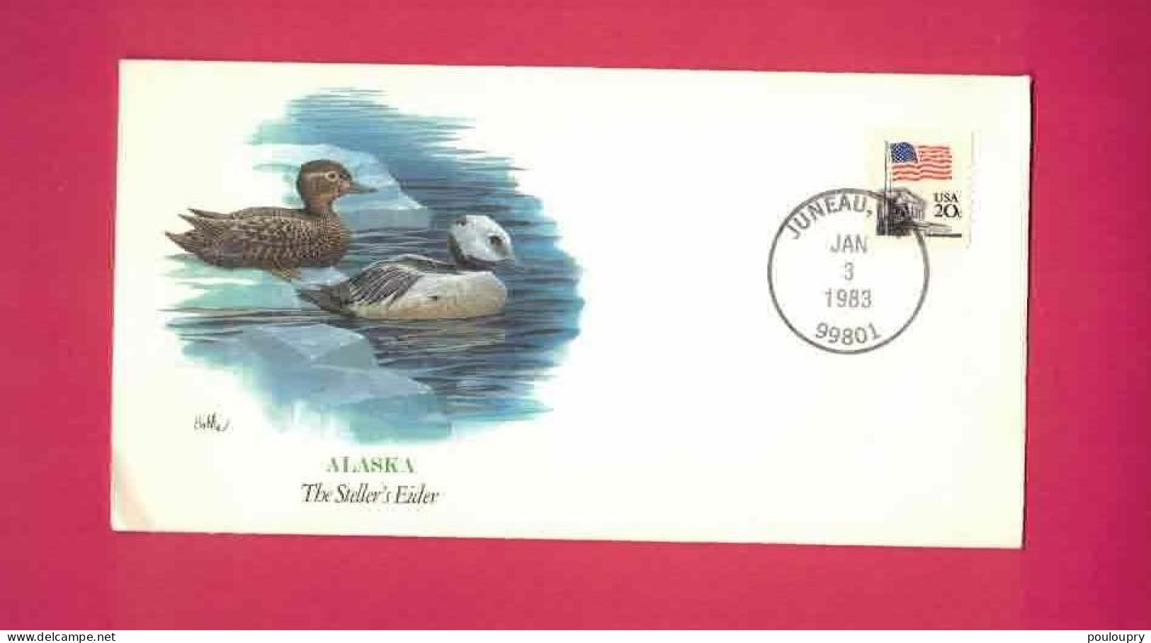 Lettre De 1983 Des USA EUAN - AIgrette Neigeuse - Steller's Eider - Grues Et Gruiformes