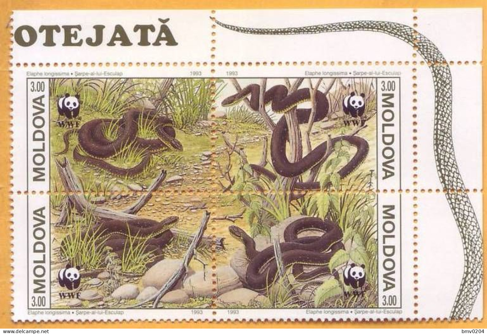 1993 Moldova Moldavie, Fauna, Snakes, Nature, WWF, 4v Mint - Snakes