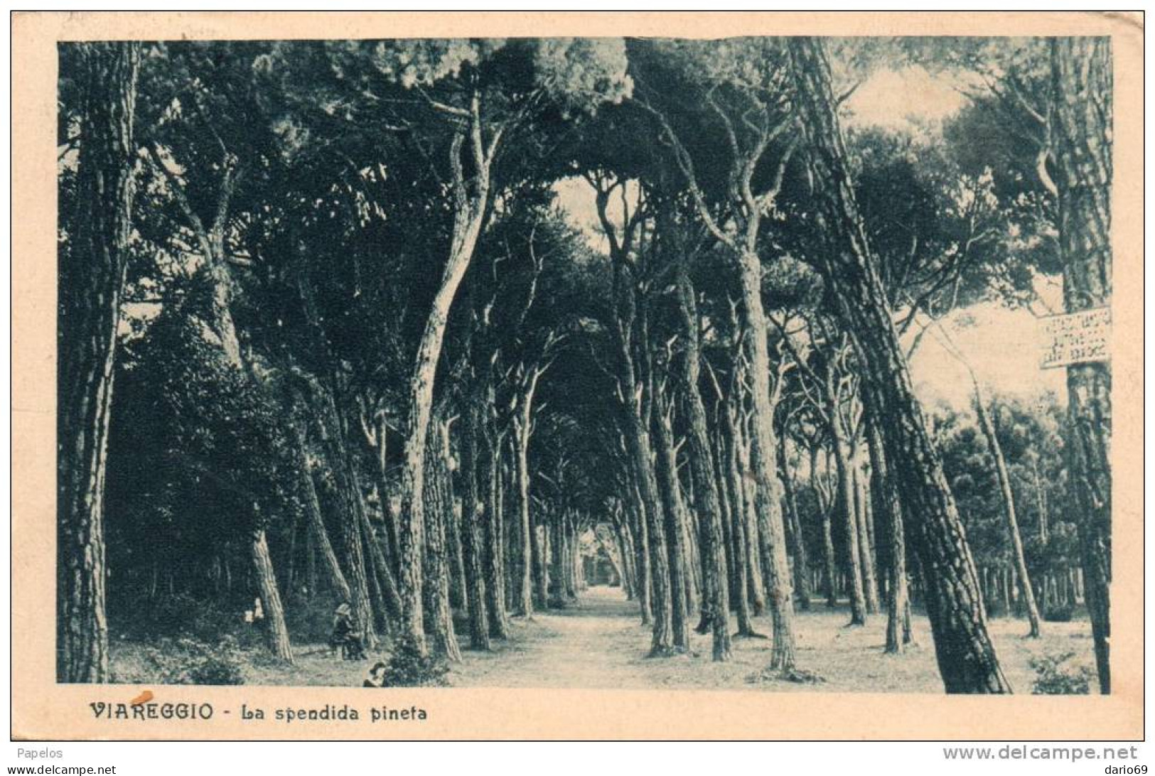 1927   VIAREGGIO - Viareggio