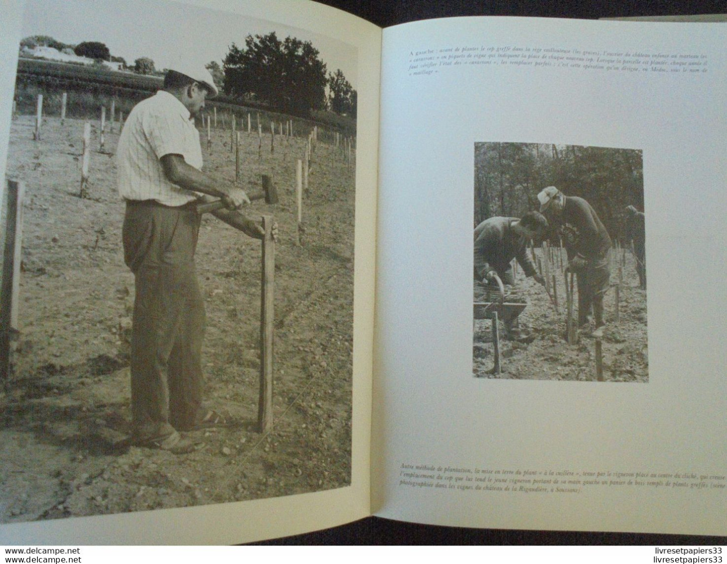 Le Médoc Vignes Et Vignerons Texte R. Pijassou Photographies R. JEAN L'horizon Chimérique 1990 - Aquitaine