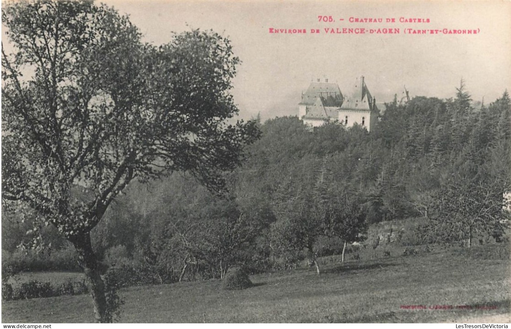 FRANCE - Environs De Valence D'Agen - Vue Sur Le Château De Castels - Carte Postale Ancienne - Valence