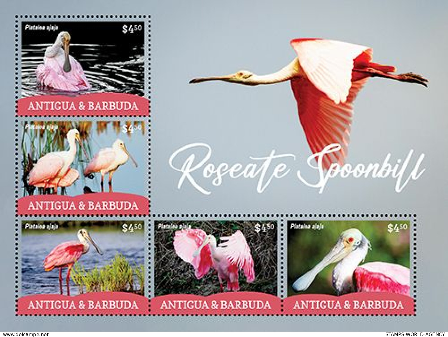 2023-09 - ANTIGUA- ROSEATE SPOONBILL              5V  MNH** - Gru & Uccelli Trampolieri