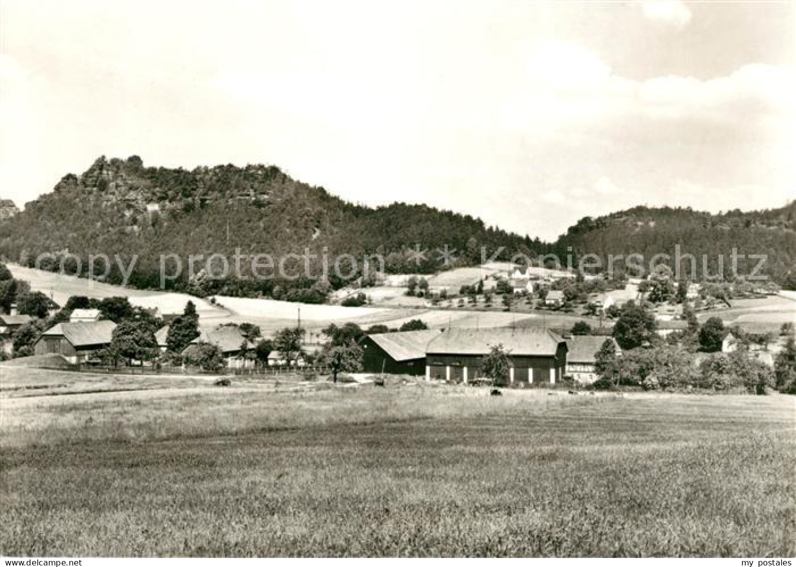 73033678 Papstdorf Panorama Papstdorf - Gohrisch