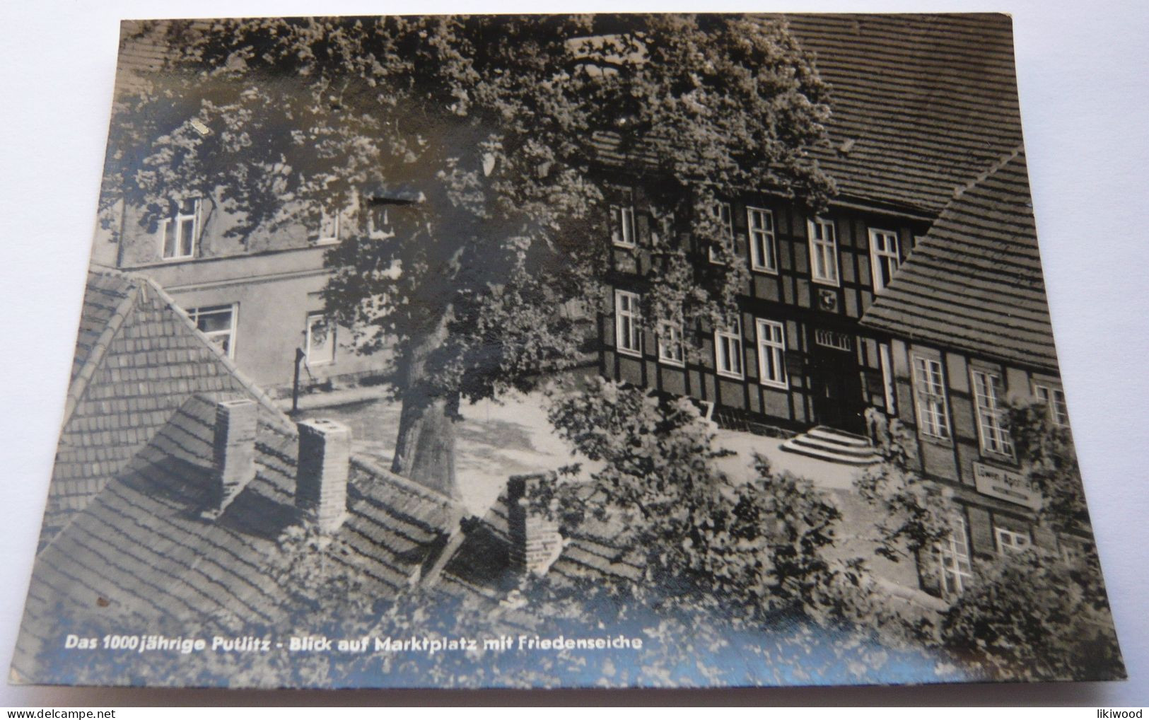 Das 1000 Jährige Putlitz - Blick Auf Marktplatz Mit Friedenseiche - Putlitz