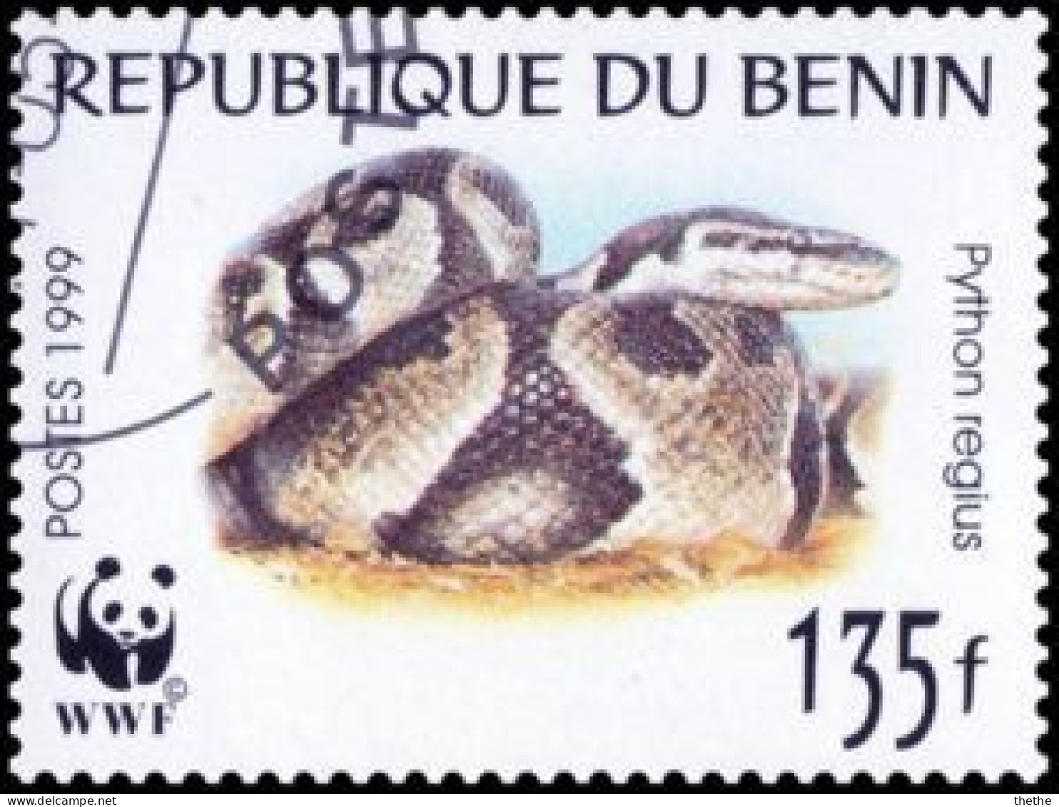 BENIN - Phyton à Boule (Python Regius) - Serpenti