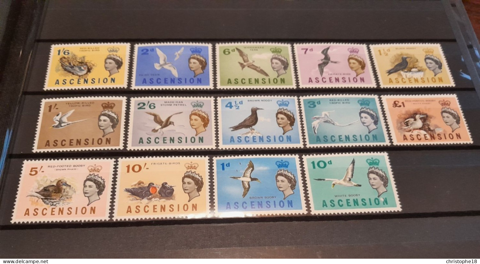 Ascension Set 14 Stamps Mint Birds - Albatrosse & Sturmvögel