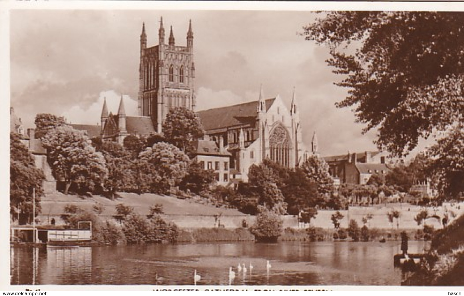 2811	134	Worcester Cathedral From River Severn (see Corners)  - Sonstige & Ohne Zuordnung