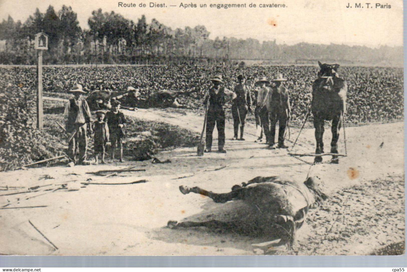 Route De DIEST  -  Après Un Engagement De Cavalerie  -  Belle Animation - Evacuation D'un Cheval Mort - Diest