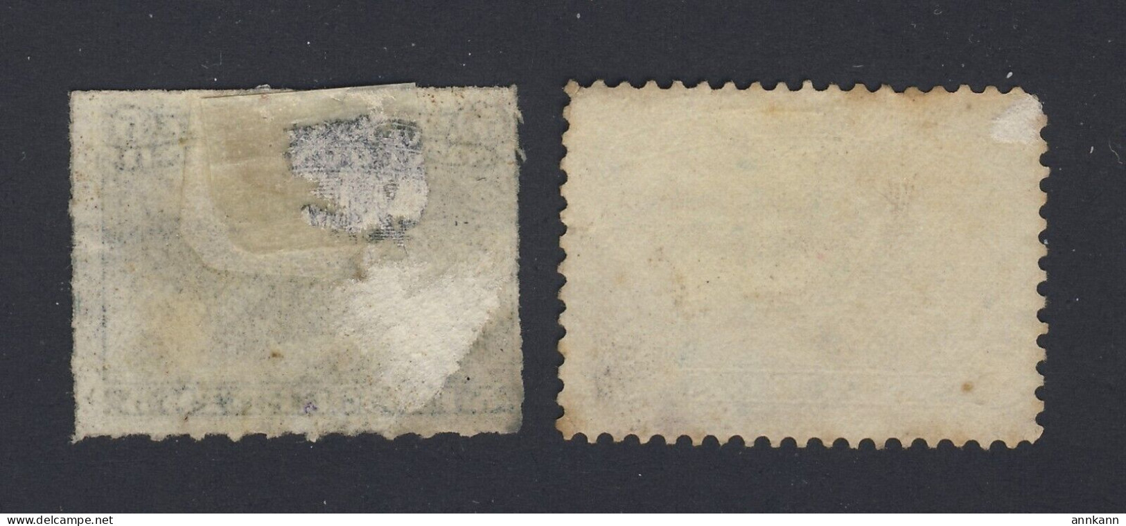 Newfoundland Seal Used Stamps; #48-5c Rouletted, #55-5c - 1865-1902