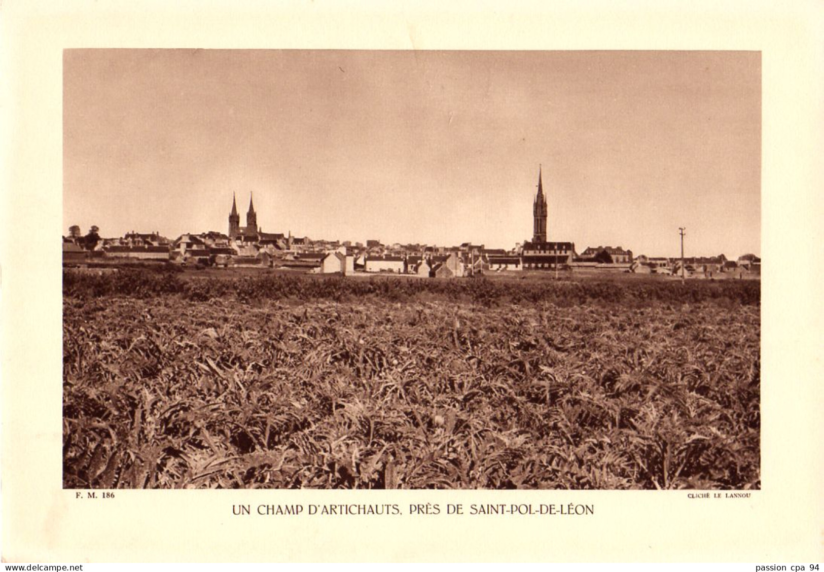 S10-013 Un Champ D'artichauts, Près De Saint-Pol-de-Léon - Plaatsen