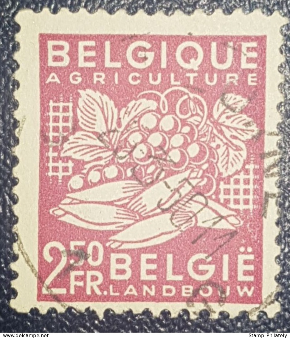 Belgium 2.5 Fr National Industry Used Stamp 1948 - Gebruikt