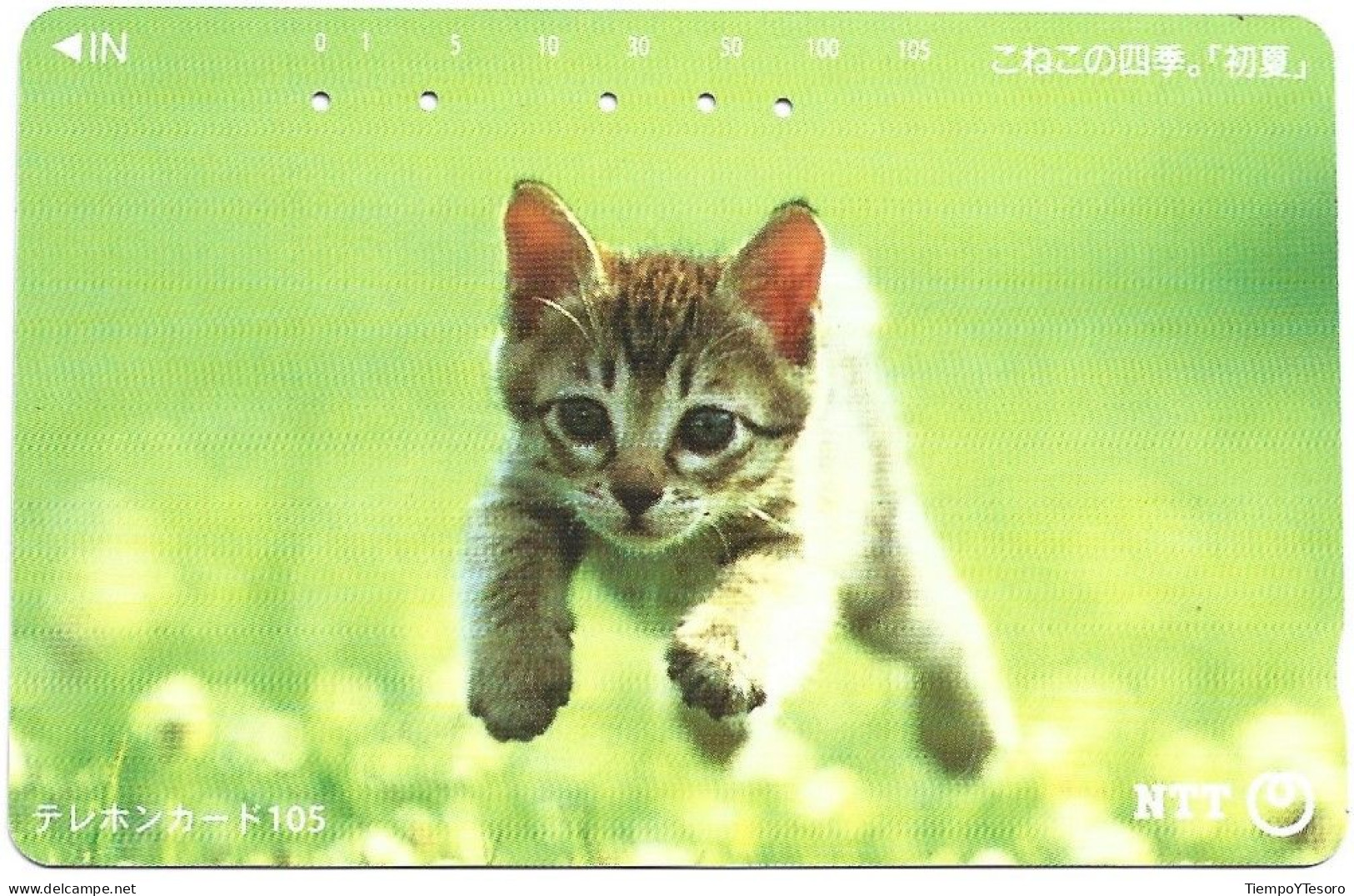 Phonecard - Japan, Kittens 10, N°1166 - Collections