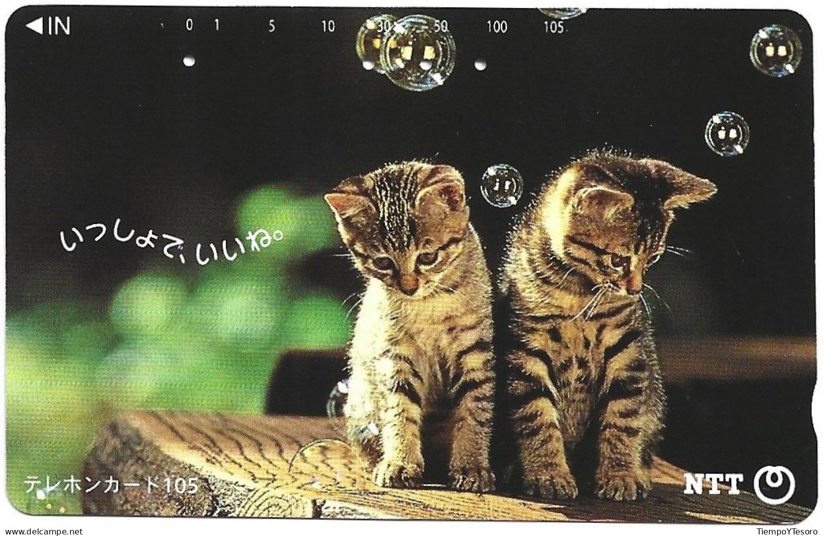 Phonecard - Japan, Kittens 11, N°1167 - Collections