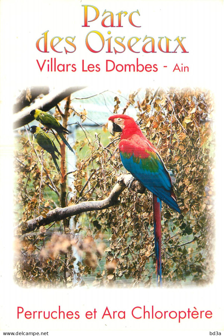 01 - VILLARS LES DOMBES - PERRUCHES ET ARA CHLOROPTERE - Villars-les-Dombes