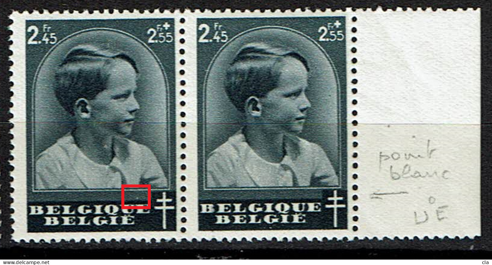 446  **  Paire Bdf  Point Blanc UE  T1 - 1931-1960