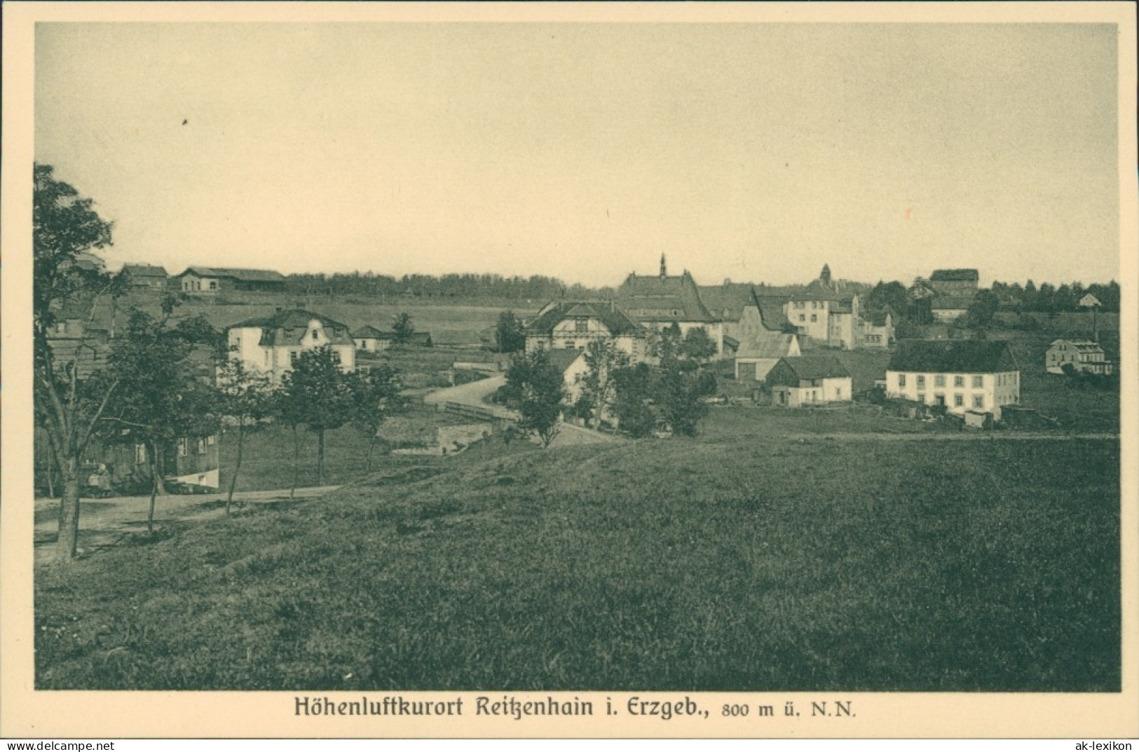 Reitzenhain-Marienberg Im Erzgebirge Höhenluftkurort Panorama 1924 - Marienberg