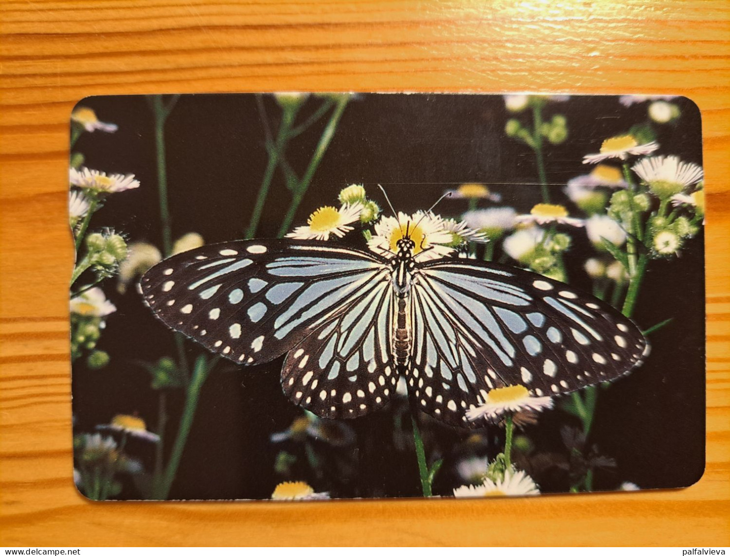 Phonecard Taiwan IC06C009 - Butterfly - Taiwan (Formose)