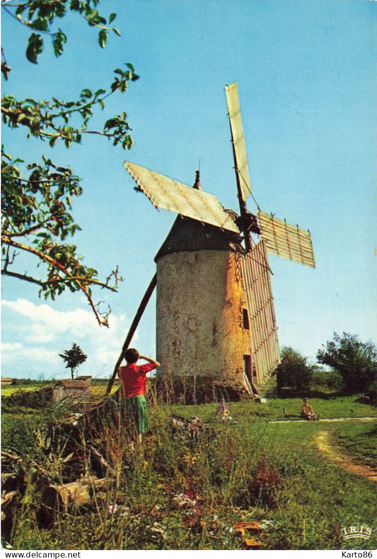 Beauvoir Sur Mer * Le Moulin à Vent De Ste Catherine * Molen - Beauvoir Sur Mer