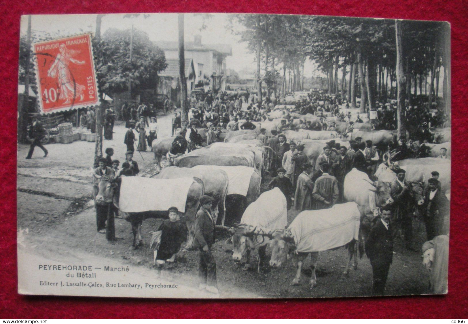 40 Peyrehorade 1910 Marché Du Bétail TB Animée éditeur Lassales Calès Scanné - Peyrehorade