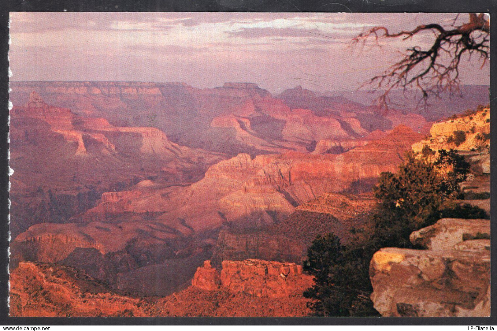 United States - Arizona - Lot Of 5 Color Postcards - Grand Canyon - Grand Canyon