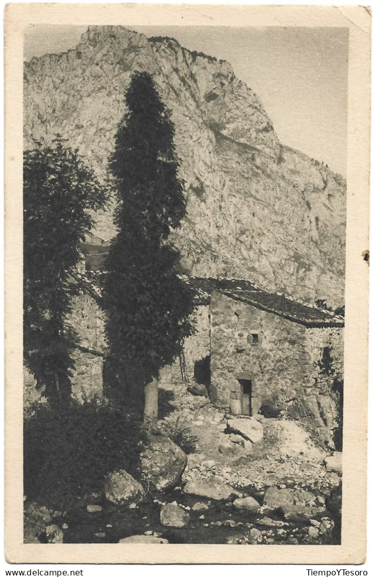 Postcard - Spain, Asturias, Cabrales, N°1243 - Asturias (Oviedo)