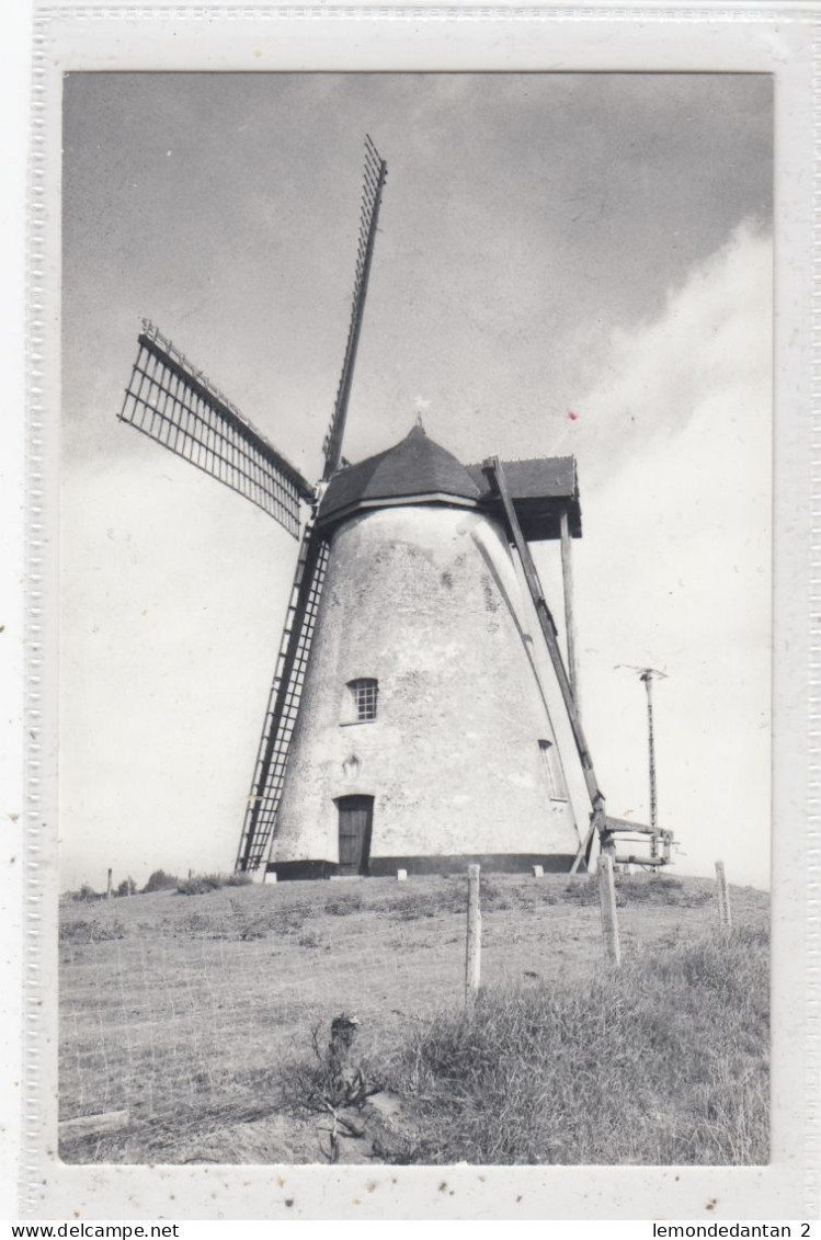 Nukerke. Molen Ter Hengst. * - Maarkedal