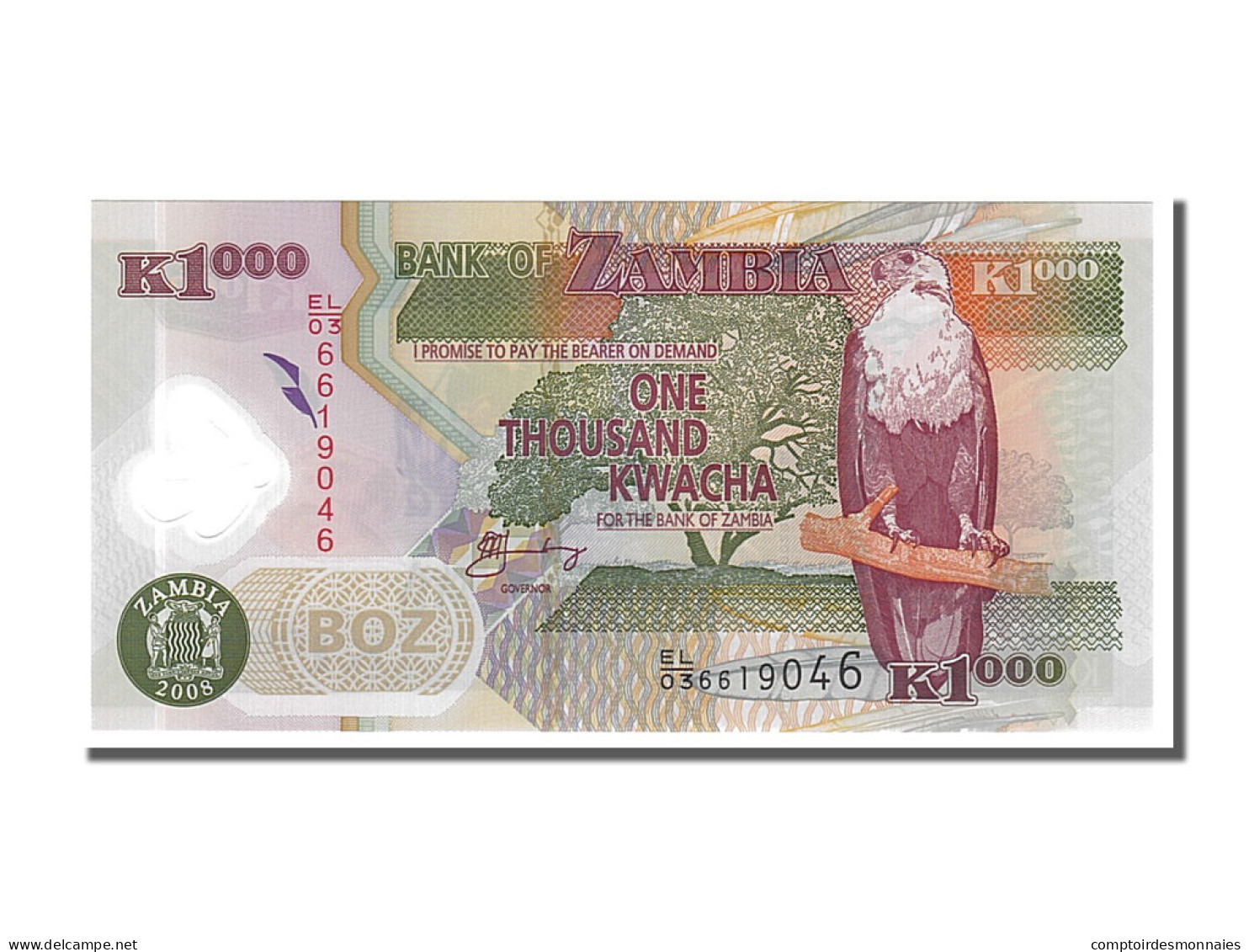 Billet, Zambie, 1000 Kwacha, 2008, NEUF - Sambia