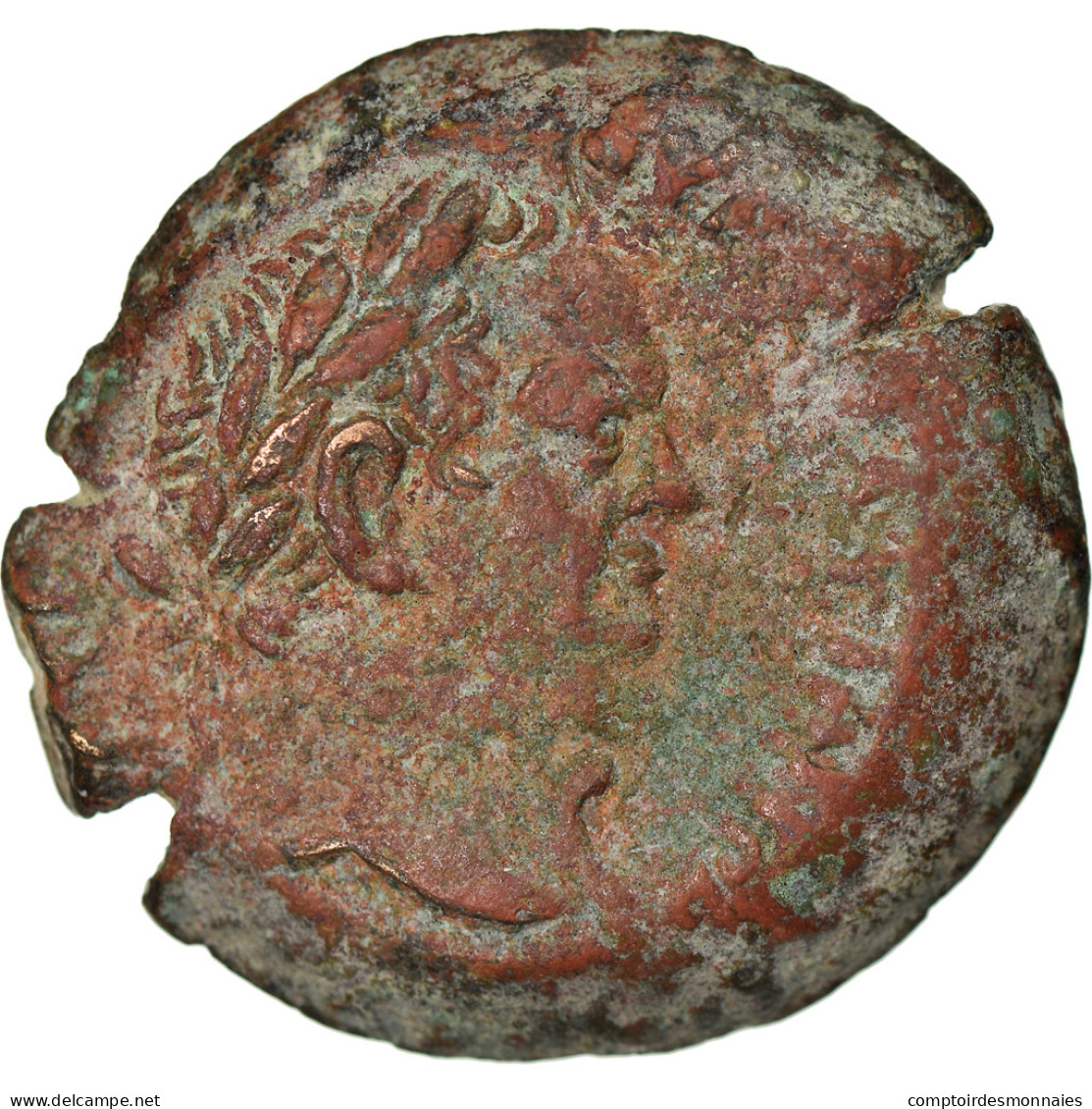 Monnaie, Égypte, Vespasien, Diobole, 72-73, Alexandrie, TB+, Bronze, RPC:2441 - Provinces Et Ateliers