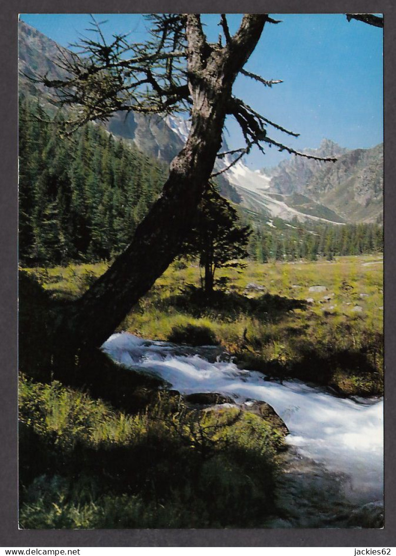 110465/ CHAMPEX, Val D'Arpettaz Et Col Des Ecandies - Orsières