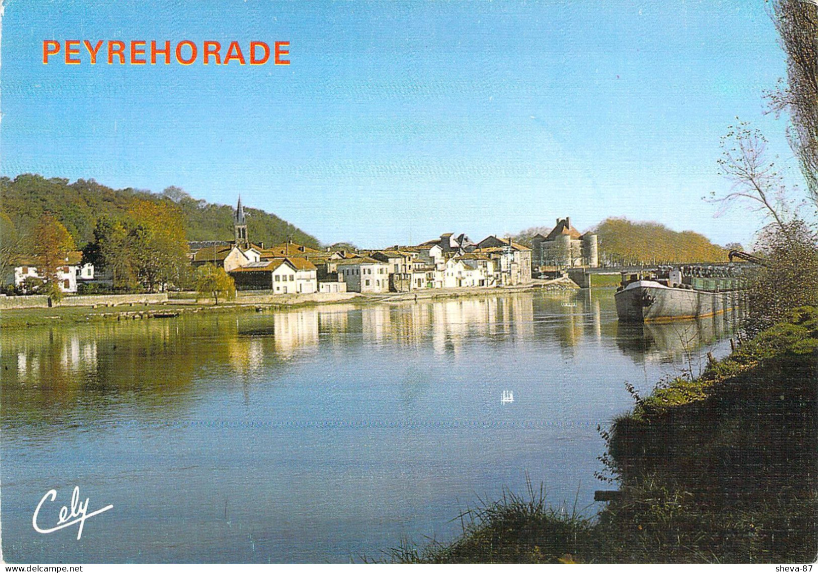 40 - Peyrehorade - Vue Générale Sur Les Gaves Réunis - Peyrehorade