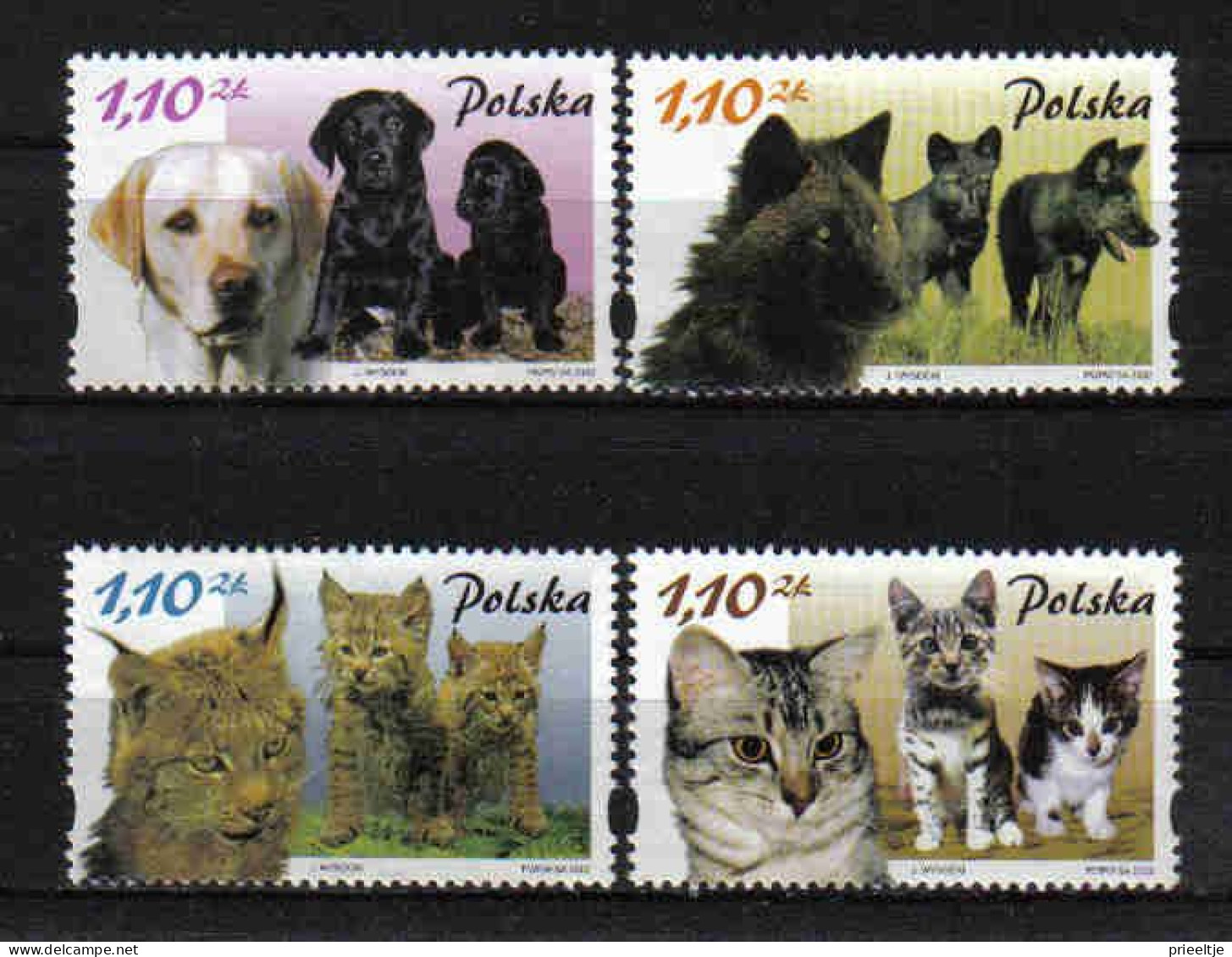 Poland 2002 Cats & Dogs Y.T. 3726/3729 ** - Neufs