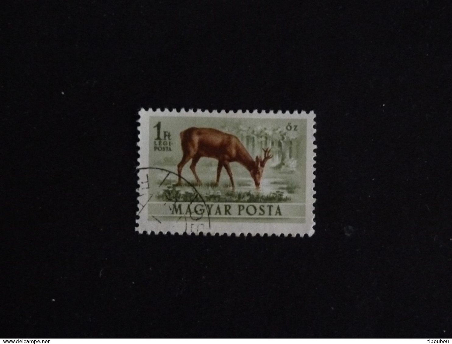 HONGRIE HUNGARY MAGYAR YT PA 143 OBLITERE - CHEVREUIL ROE DEER - Gebraucht