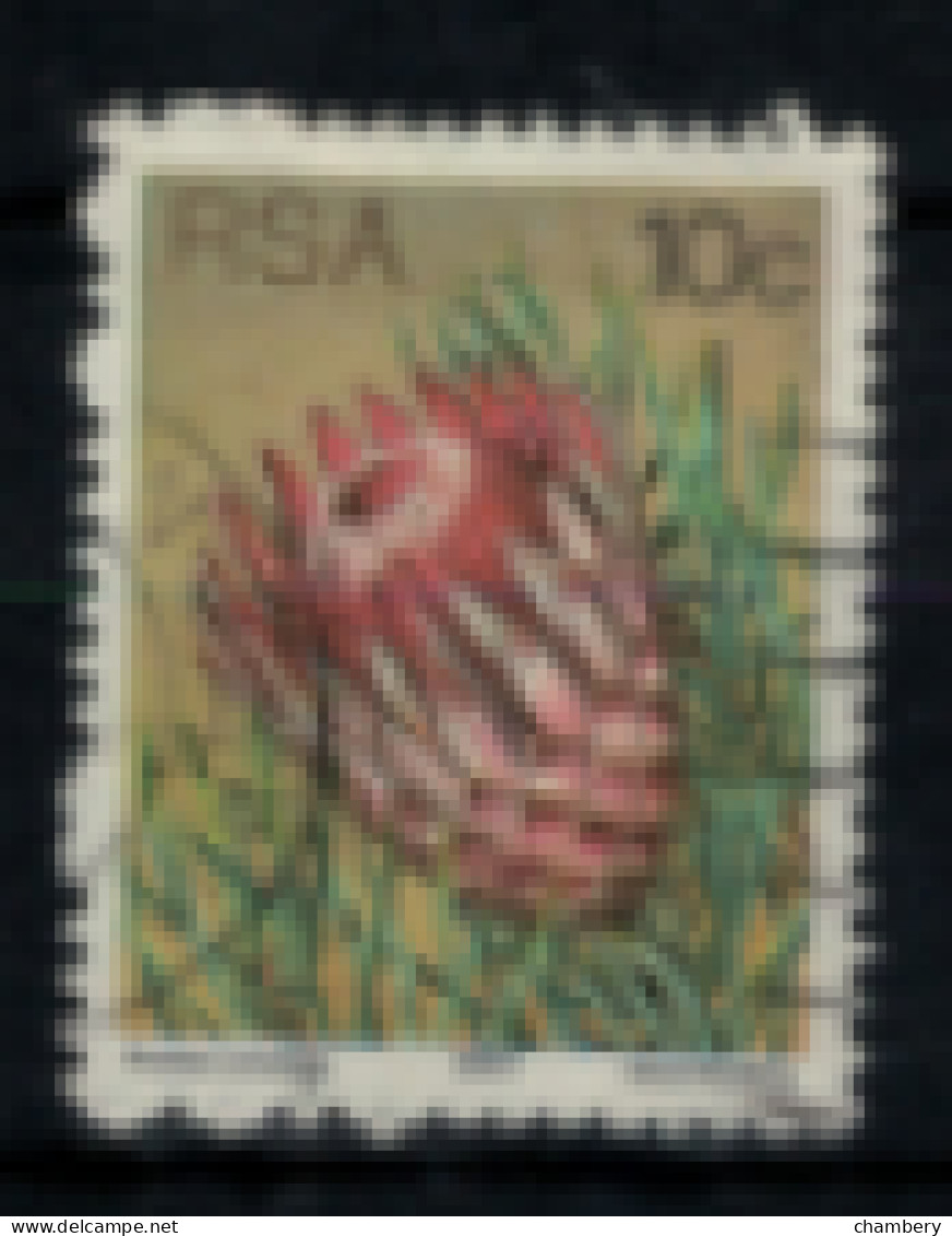 Afrique Du Sud - "Fleurs Diverses : Protea Aristata" - Oblitéré N° 425 De 1977 - Used Stamps