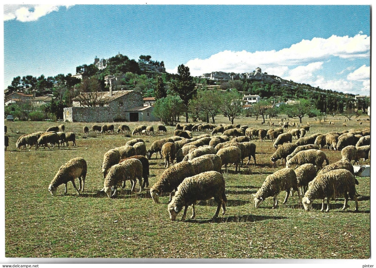 EYGALIERES - Troupeau Au Pied Du Village - Eyguieres