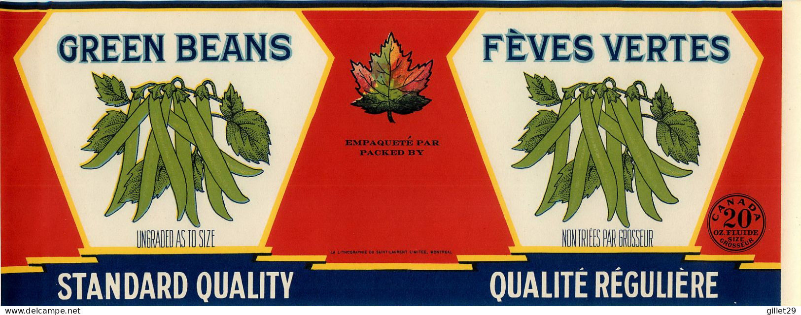 ÉTIQUETTES - GREEN BEANS - FÈVES VERTES - STANDARD QUALITY - 20 OZS CANADA - DIMENSION 10.5 X 28 Cm - - Fruits Et Légumes