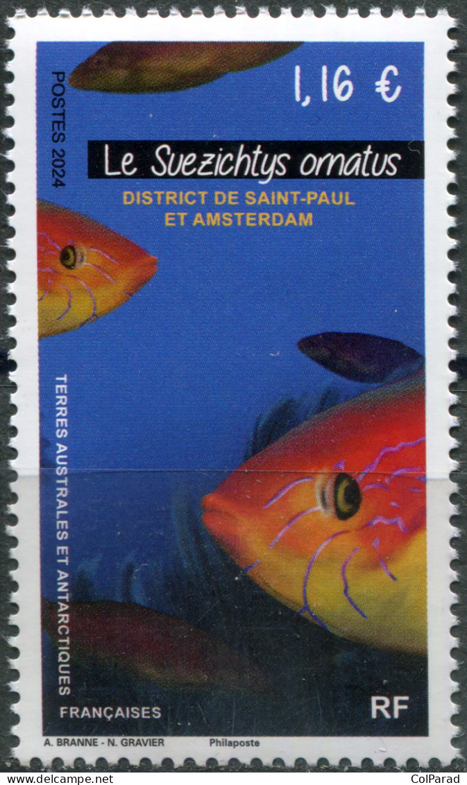 TAAF - 2024 - STAMP MNH ** - Suezichthys Ornatus - Neufs