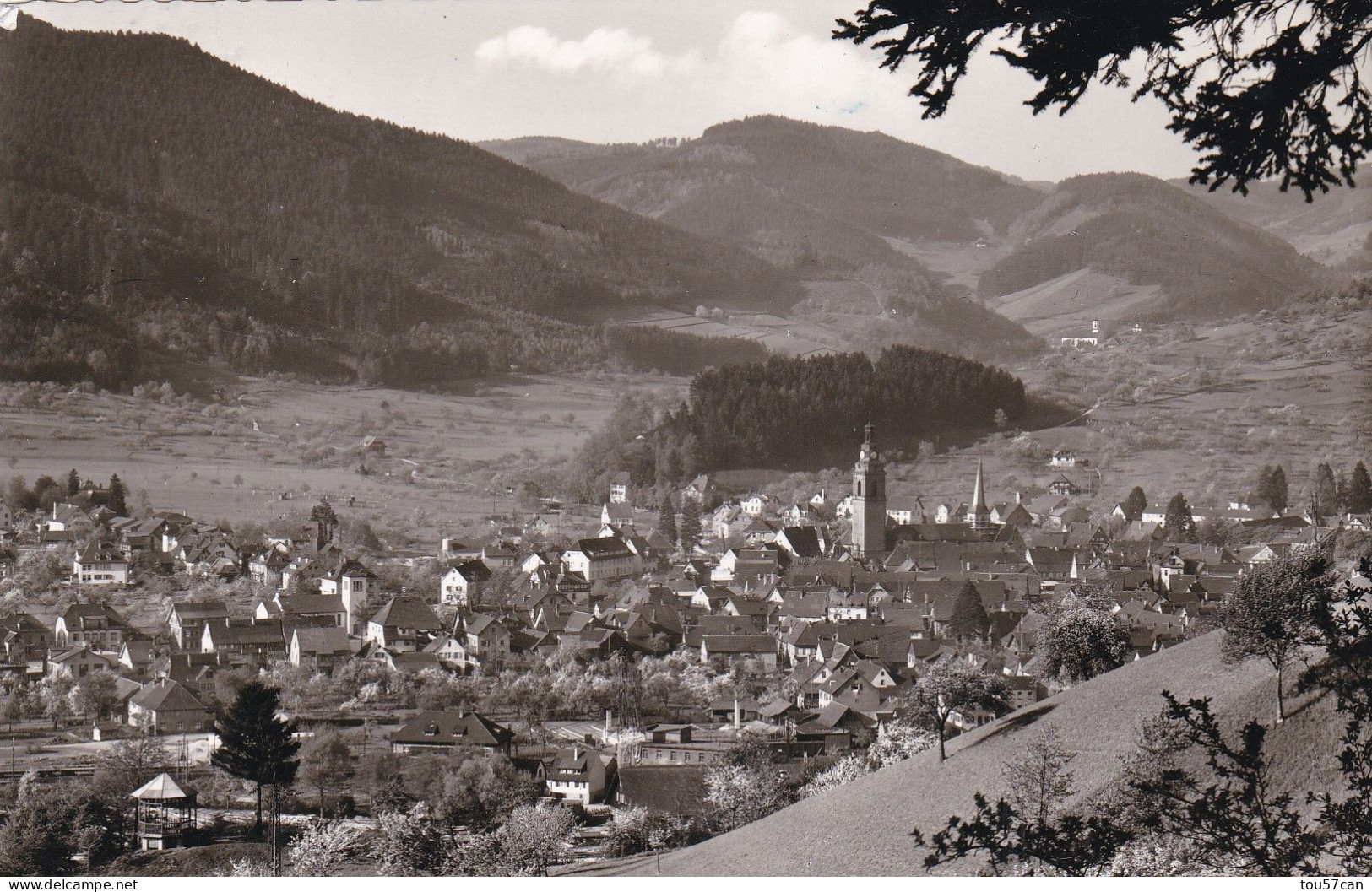 HASLACH  -  FREIBURG I. BREISGAU  -  BADEN-WÜRTTEMBERG  -  DEUTSCHLAND  -  ANSICHTKARTE. - Haslach