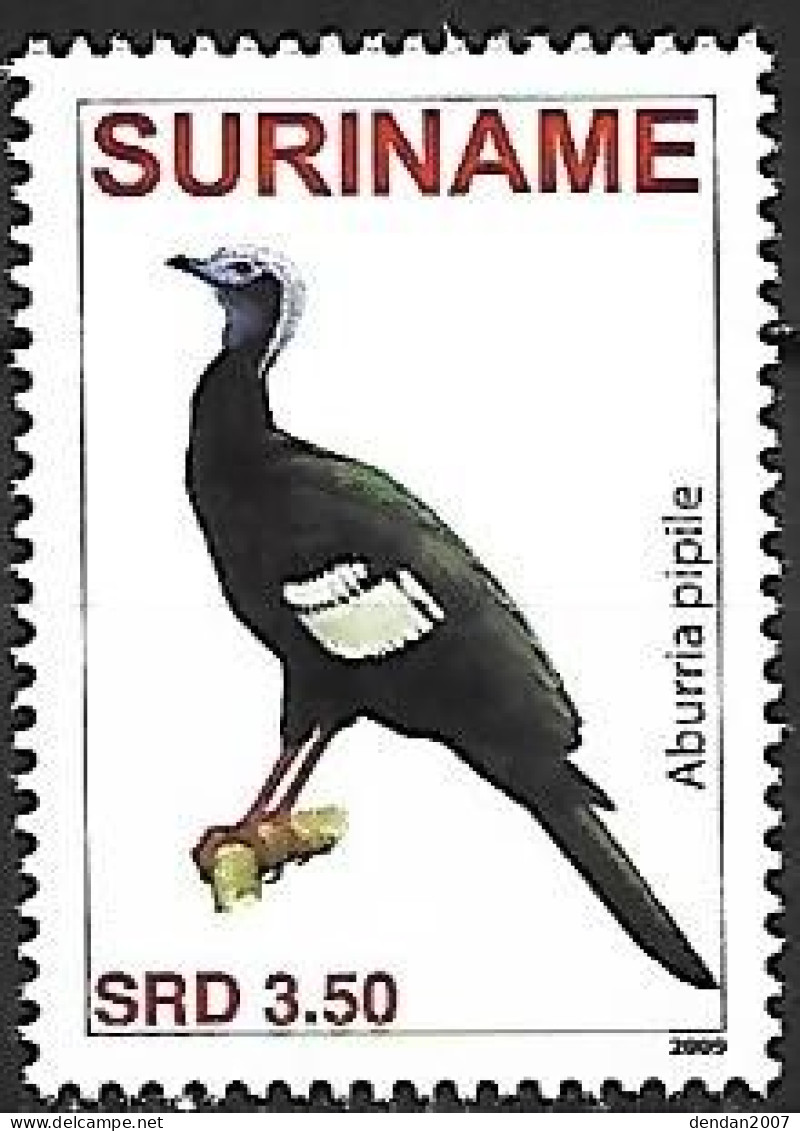 Suriname (Surinam) - MNH ** 2009 :     Blue-throated Piping Guan  -  Pipile Cumanensis - Gallinacées & Faisans