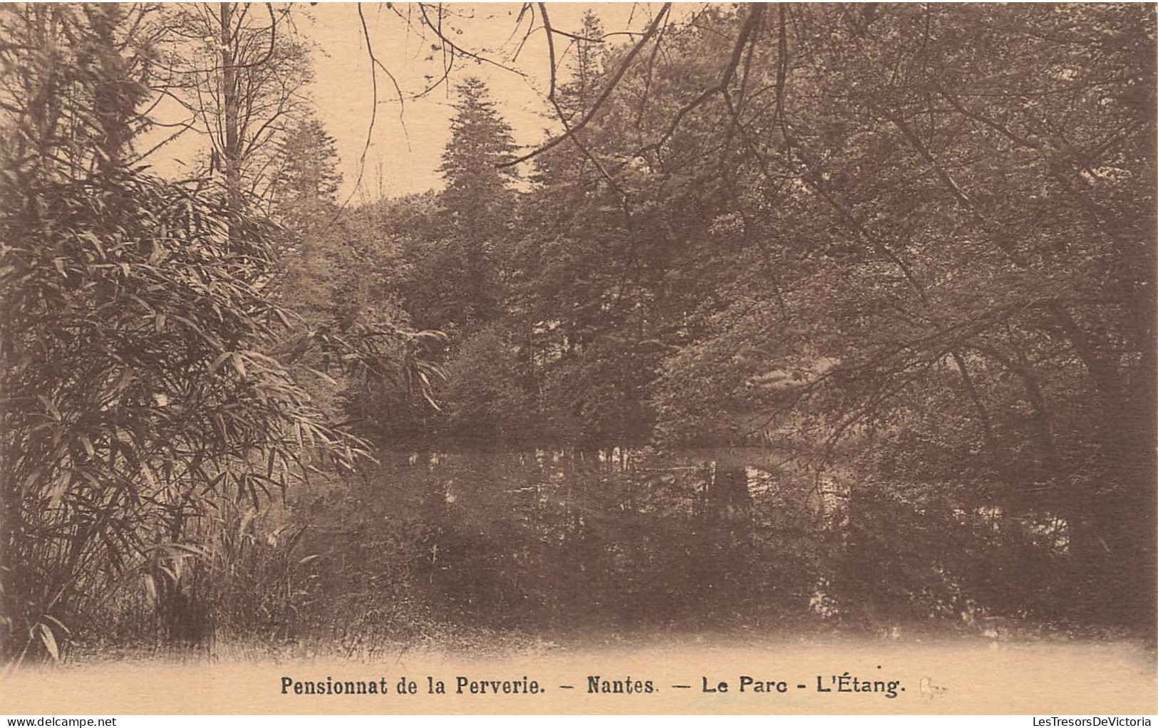 FRANCE - Nantes - Pensionnat De La Perverie - Le Parc - L'Etang - Carte Postale Ancienne - Nantes