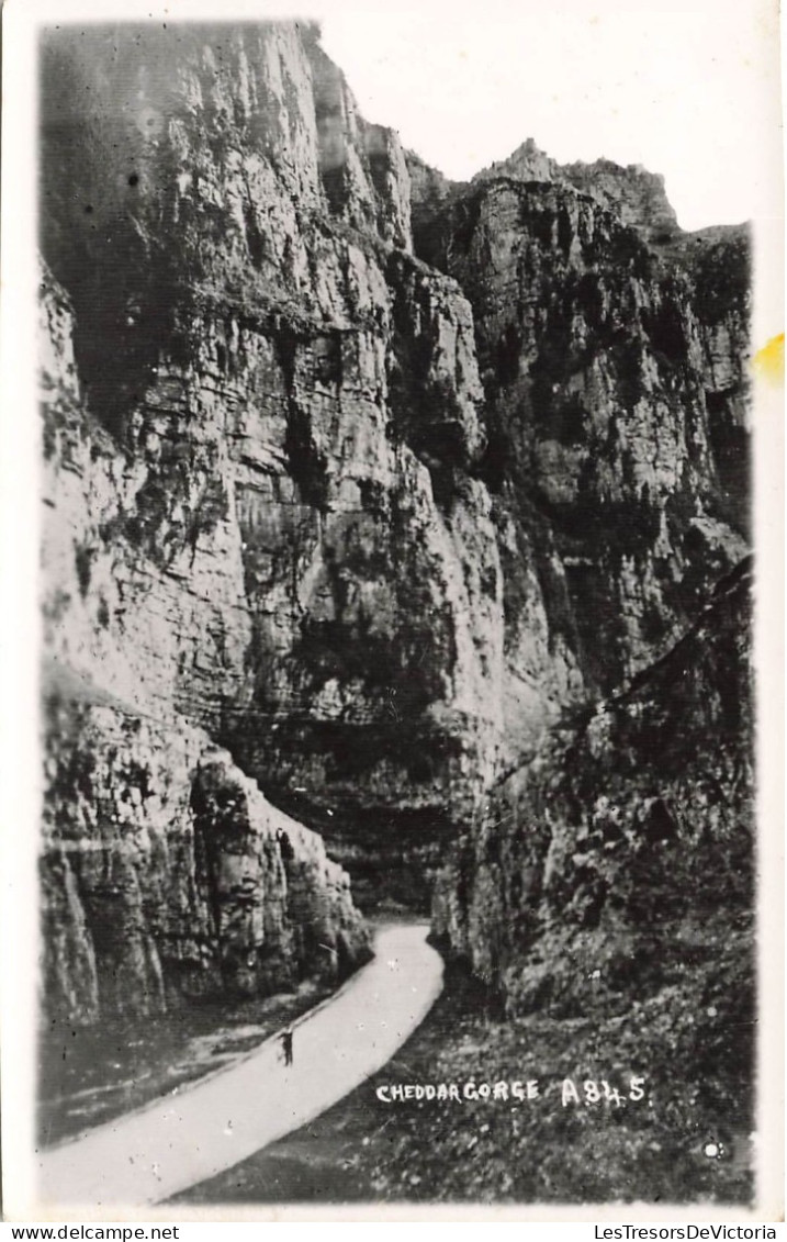 ROYAUME UNI - Angleterre - Somerset - Cheddar Gorge - Homme à Vélo - Carte Postale Ancienne - Cheddar