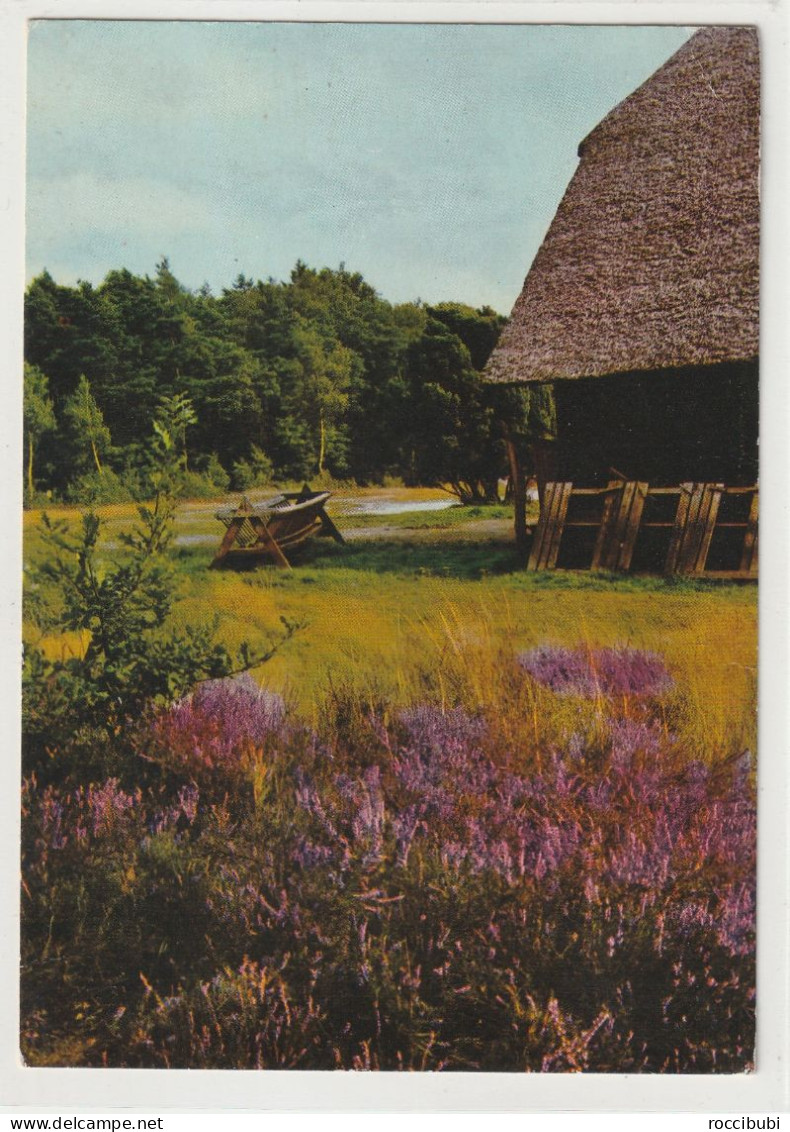 Lüneburger Heide, Niedersachsen - Lüneburger Heide