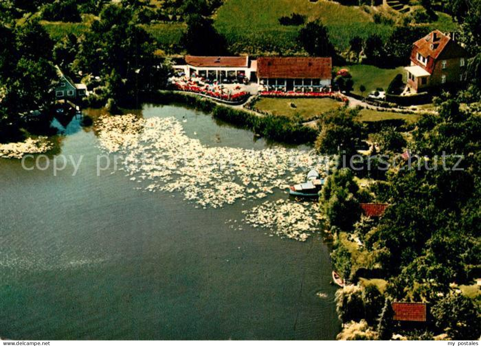 73540271 Moelln Lauenburg Paradies Am See Restaurant Fliegeraufnahme Moelln Laue - Mölln