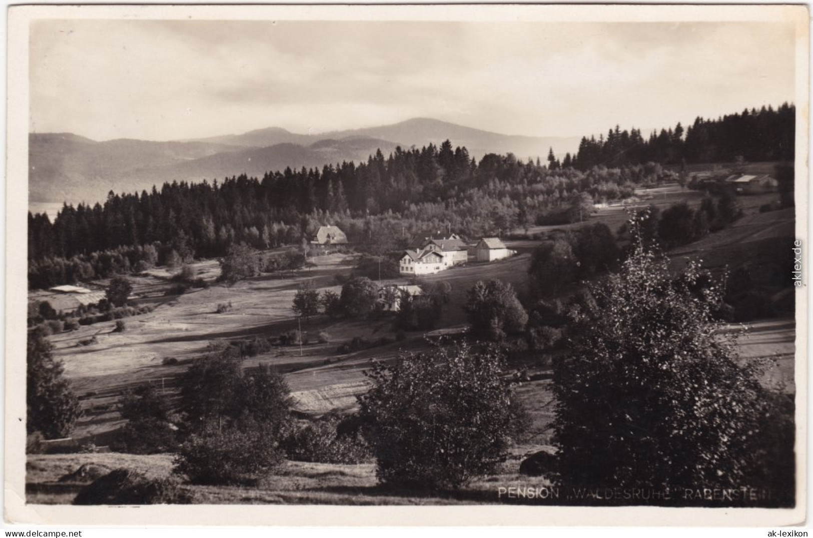 Rabenstein Zwiesel Blick Auf Die Pension "Waldesruhe" - Panorama-Ansicht 1933 - Zwiesel