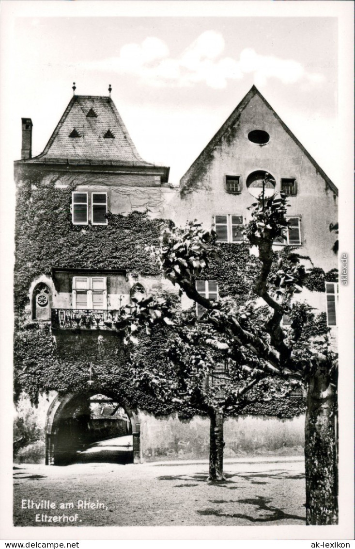 Ansichtskarte Eltville Am Rhein Eltzerhof 1960 - Eltville